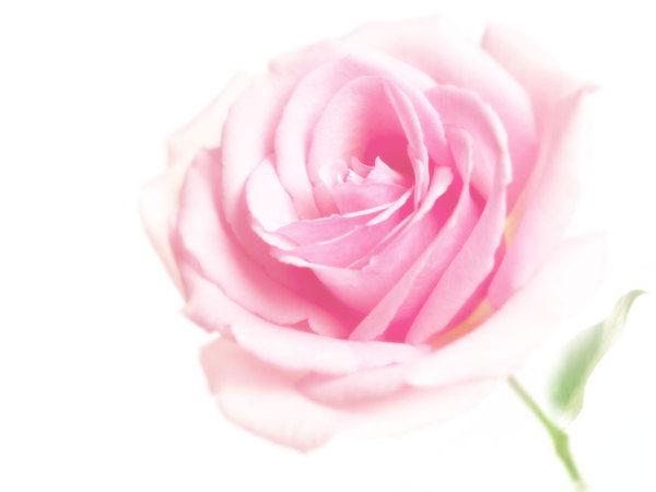 Ольга Ивонина