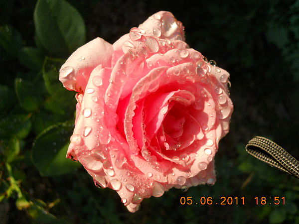 Оксана Лепейко