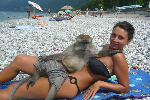 Елена Трофимова