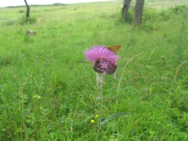 Татьяна Серга