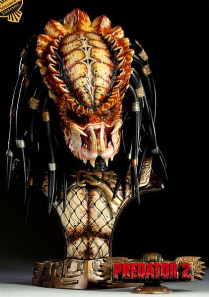 Данил Пилипенко