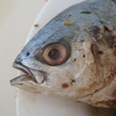 Настя Волкова