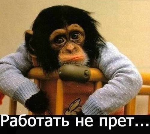 Геннадий Григорьев