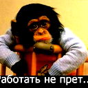 Геннадий Григорьев