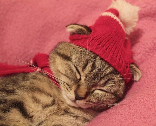 Майя Николина