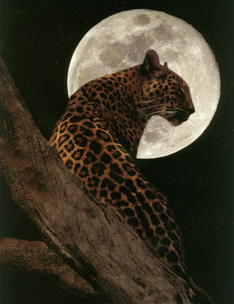 Татьяна Михеева