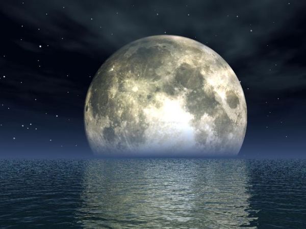 Александр Вдовиченко