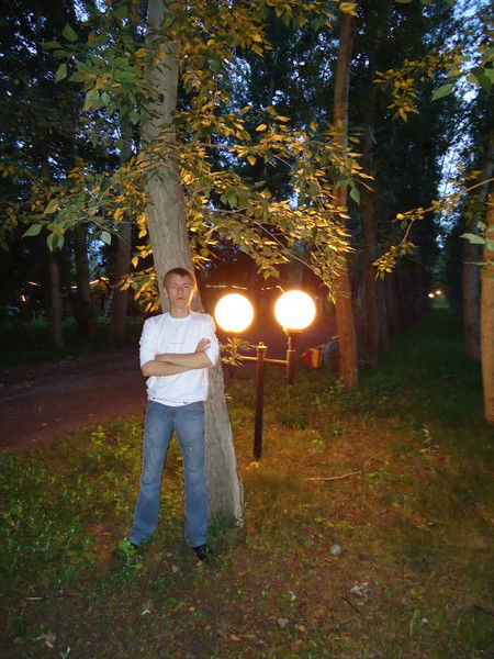 ........... ..........