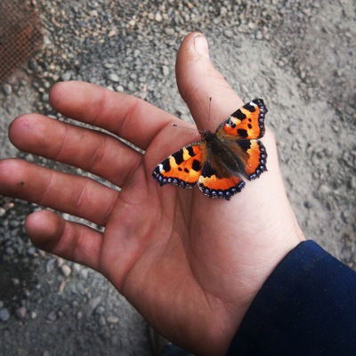 Алексей Егоров