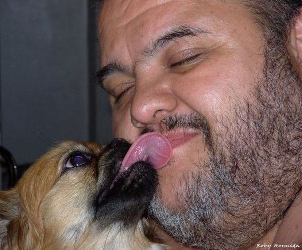 Почтовый Робот Почтовый Робот