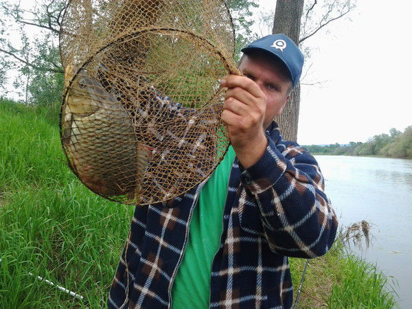 Дима Митасов