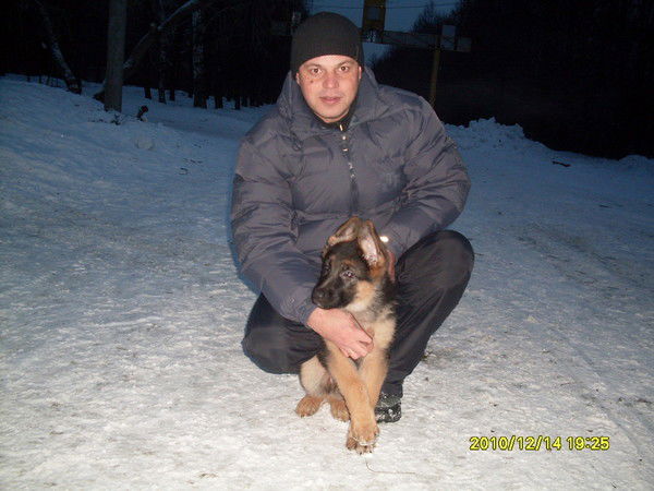 Александр Захаров