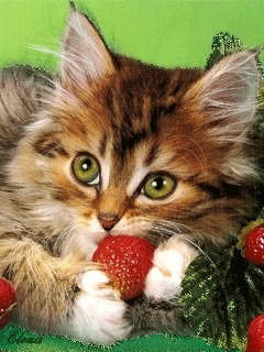 Галина Гринченко-Пихур