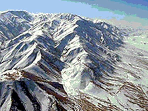 Светлана Миткалева