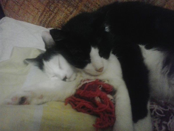 Гульназ Закирова