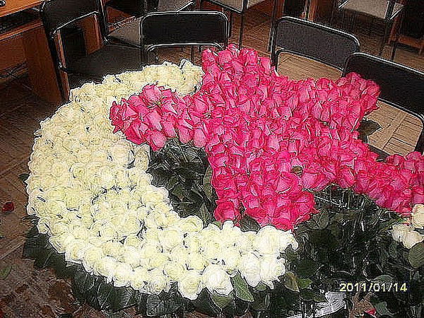 Эльмира Нурлиева