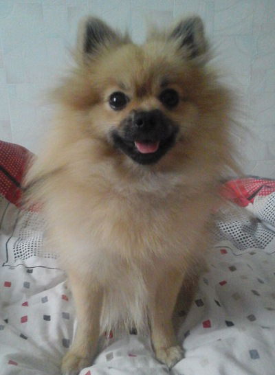 Мария Кашпарова