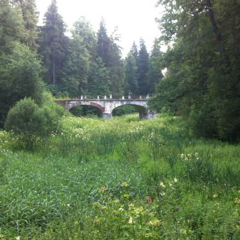 Елена Агальцова