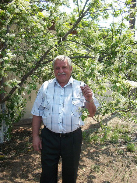 Александр Васильев