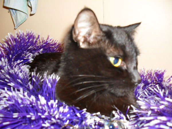 Екатерина Киселёва