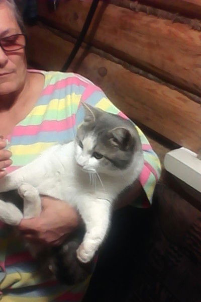 Лариса Шевченко