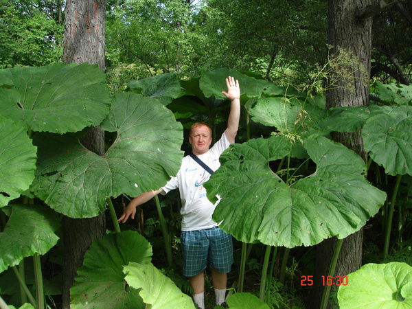 Вадим Таксанов