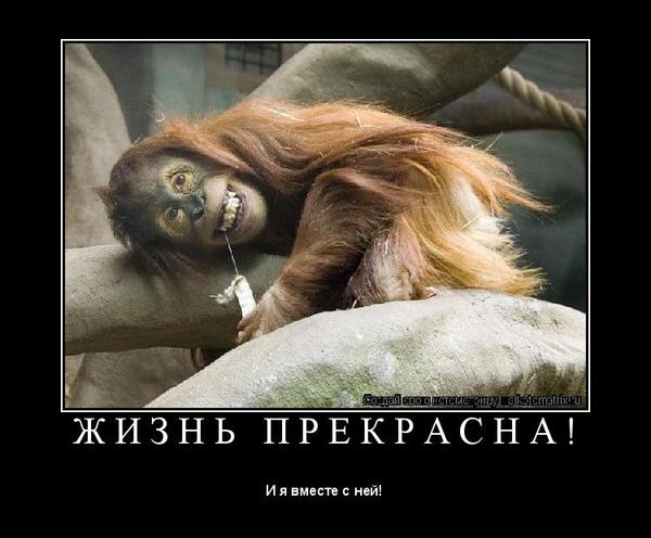 Любовь Меньшикова