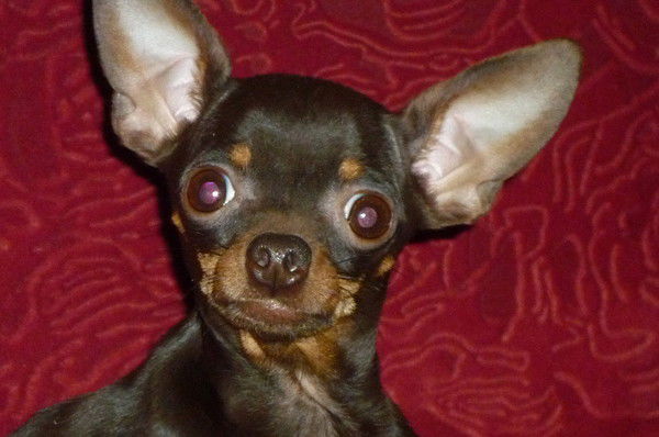 Наташа Хворостова