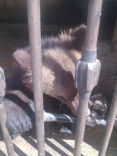 Александр *