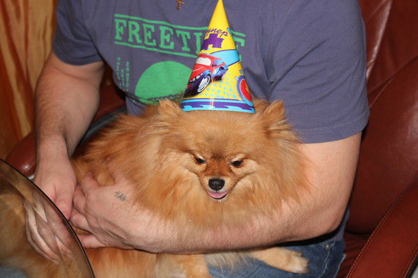 Корольская Наталья