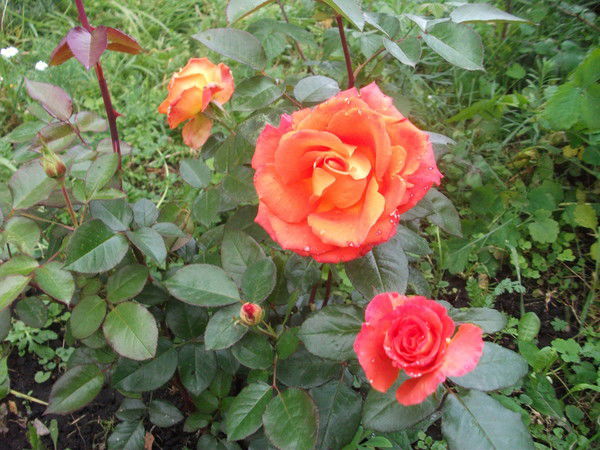 Зухра Фаизова