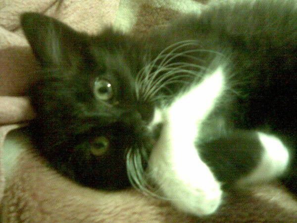 Ира Гордиенко