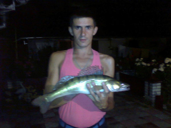 Андрей Лыповый