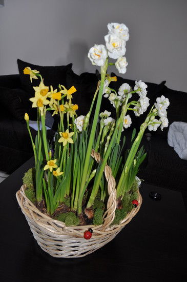 Анна Баклиманова