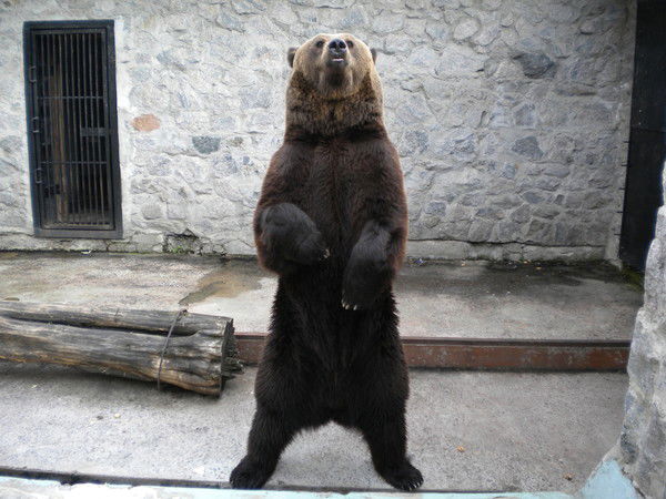 Роман Наливайко