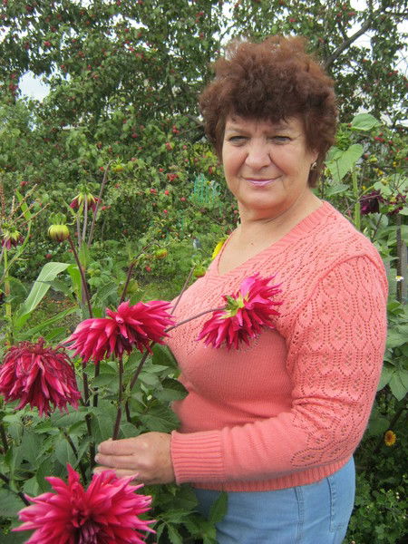 Анастасия Д.з. И Т.ф.***