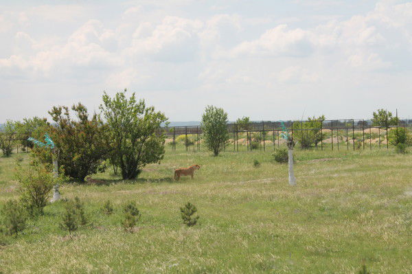 Роман Андреев