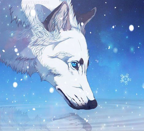 Йору Седзуко