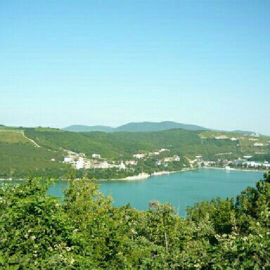 Зураб Тодуа