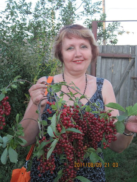 Елена Алтухова