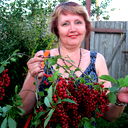 Елена Алтухова