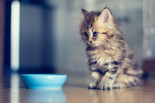 Гульнара Халеева