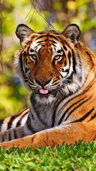 "алем Мунай Газ" Тоо