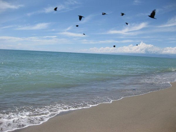 Татьяна Плотникова