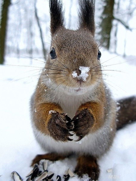 Оксана Афонина