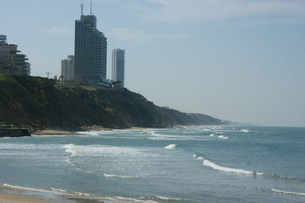 Мизитов Рамиль