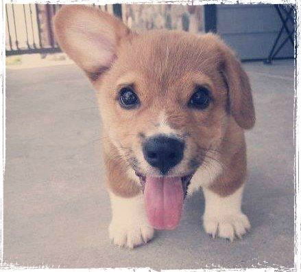 Индира Гилясова