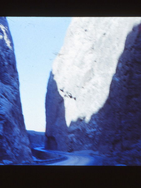 Андрей Носенко