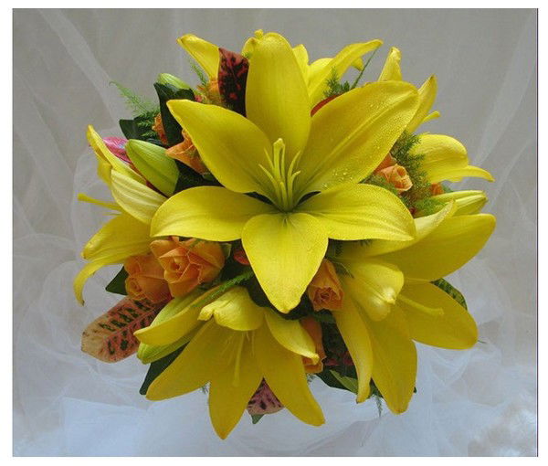 Лилиана Коваль