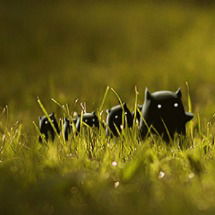 Алексей Кусов